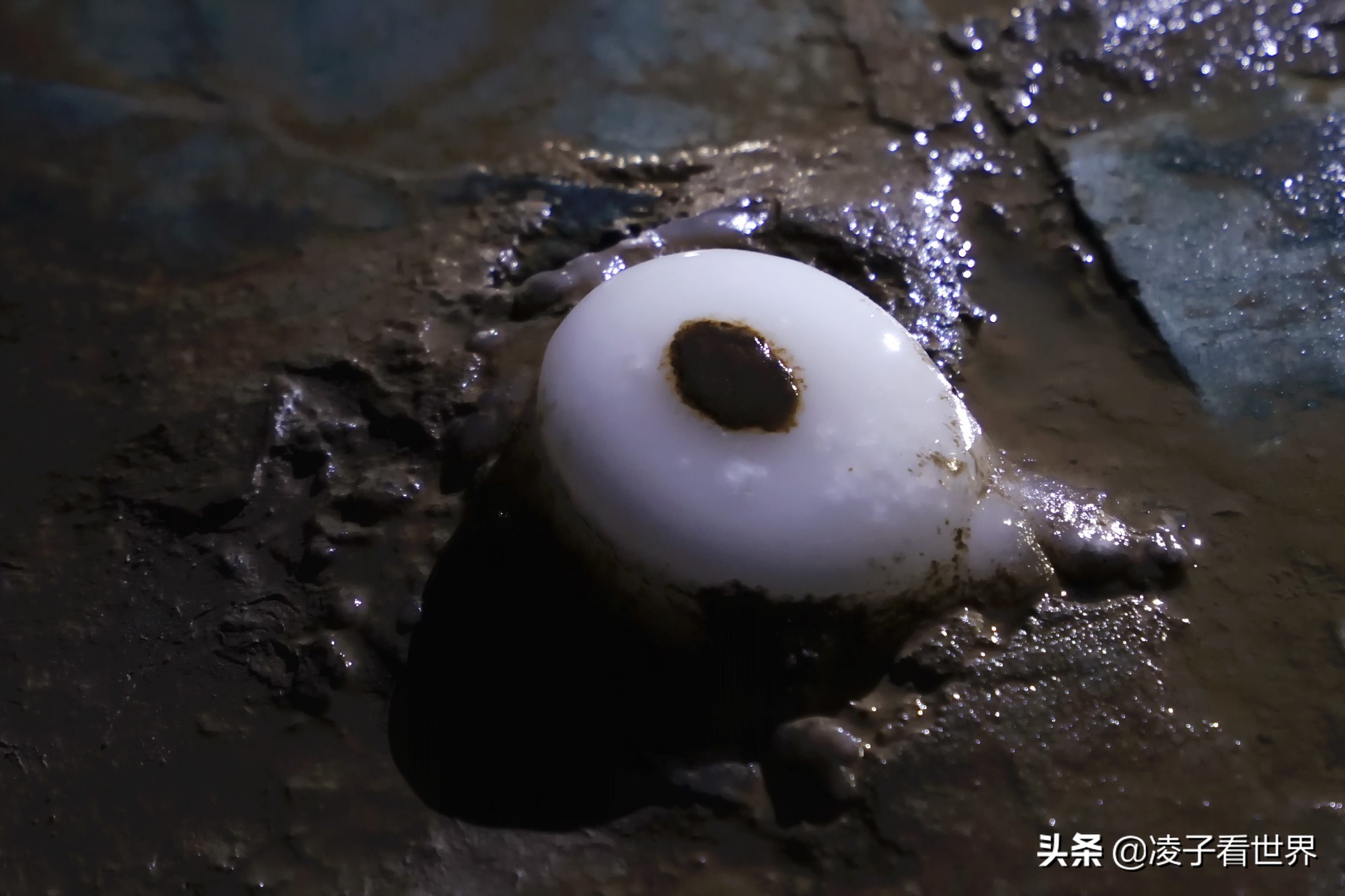 逃离北京40度高温,房山享受22度清凉,看银狐,逛古街吃铁锅炖