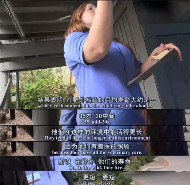 难得一见海洋动物表演,看不完的海洋动物和表演