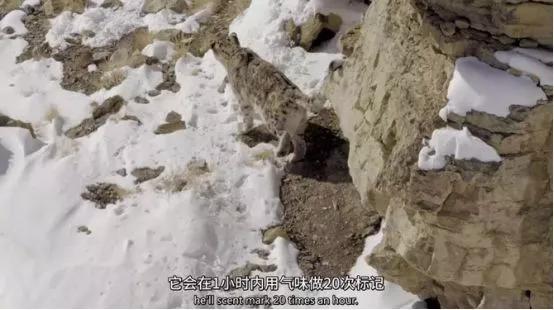 这6部电影足以秒杀大部分电影,十部必看旅行纪录片人文纪录片