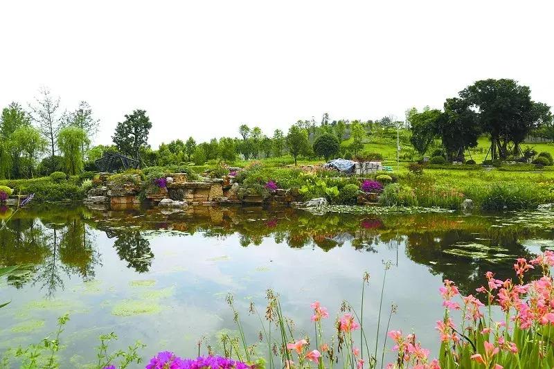 重庆悦来片区最新项目,重庆悦来新城有发展前途吗