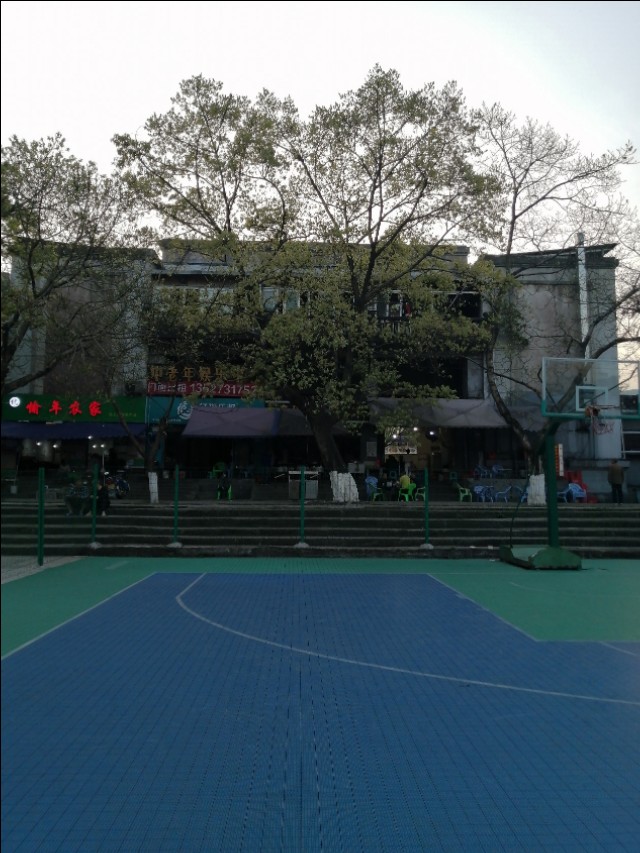 扫街日记100篇,扫街日记视频