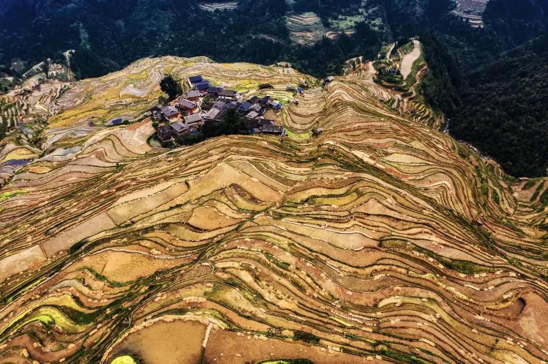 农造田野丨总有一根神经通往乡野|月亮山百里梯田