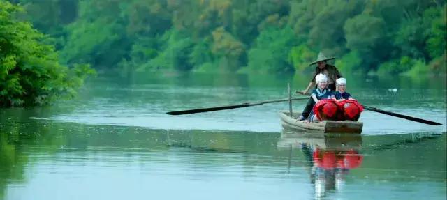 深圳经济特区的生日,深圳经济特区生日快乐