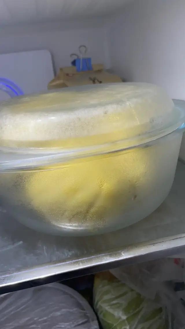 哈哈哈哈哈我笑到我家的狗偷开邻居家的车送我去精神病院