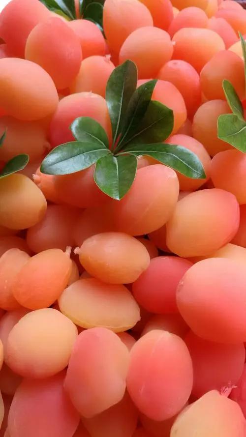 金西梅最好的水果,金西梅水果是什么颜色的