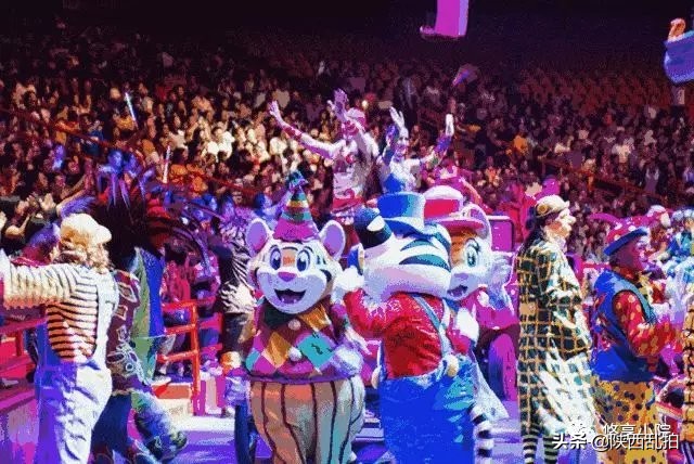 全家大马戏,全家总动员国庆