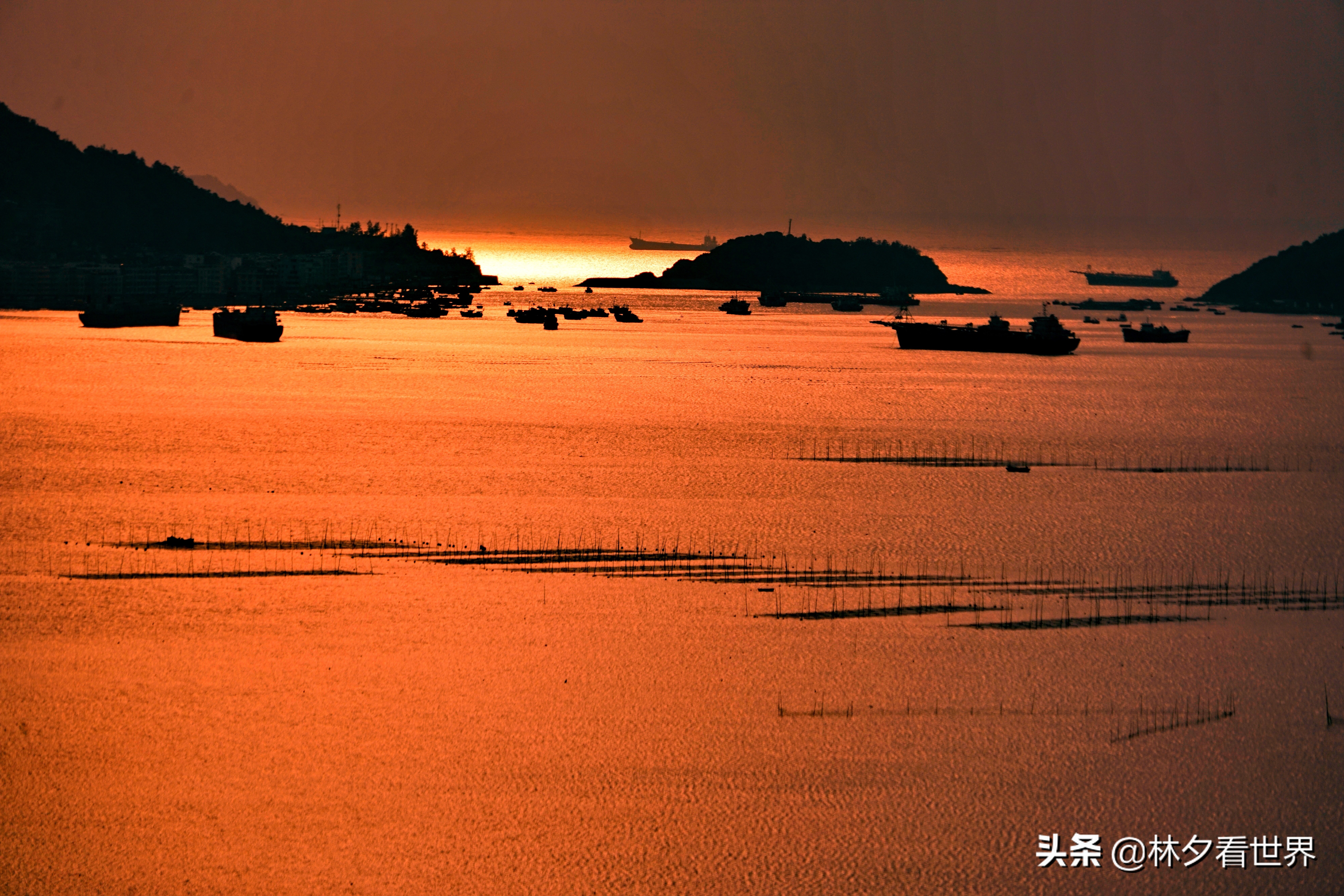苍南最佳景点排名前十名,浙江苍南最美的地方