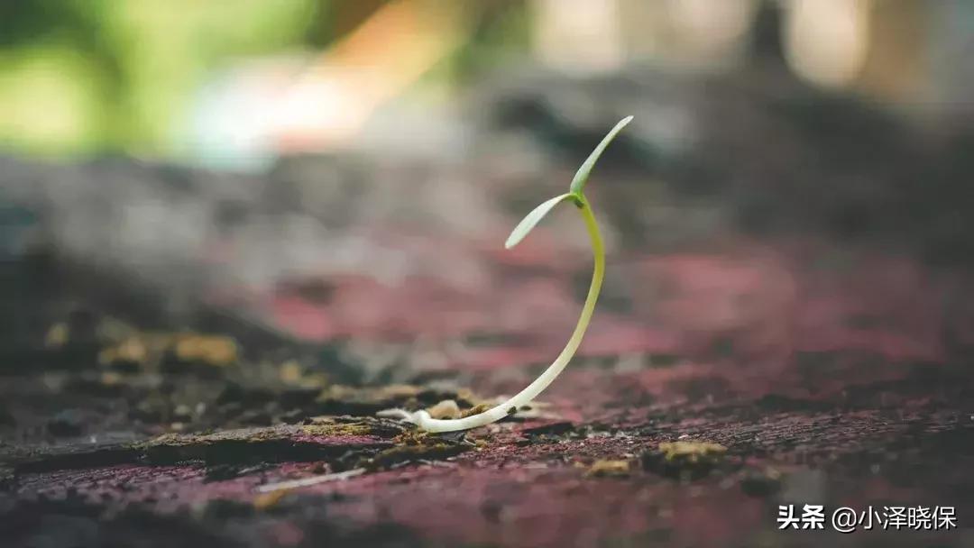 什么样的人适合做保险经纪人,我为什么选择保险经纪