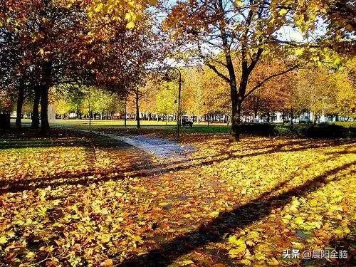 开发右脑的十种方法,成年人如何开发右脑思维