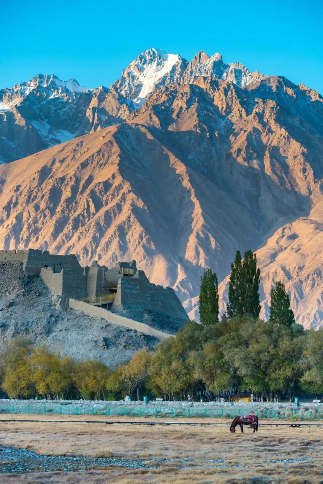 终于攒够了年假,年假怎么攒