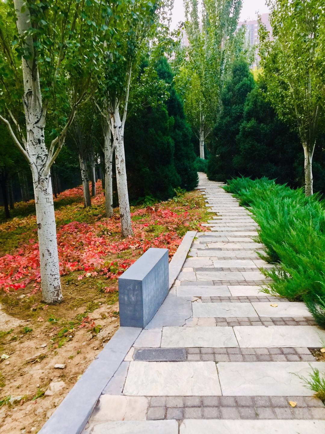 北京庆丰公园,有历史典故,能晨跑健身、遛弯散心的3*级A**景区