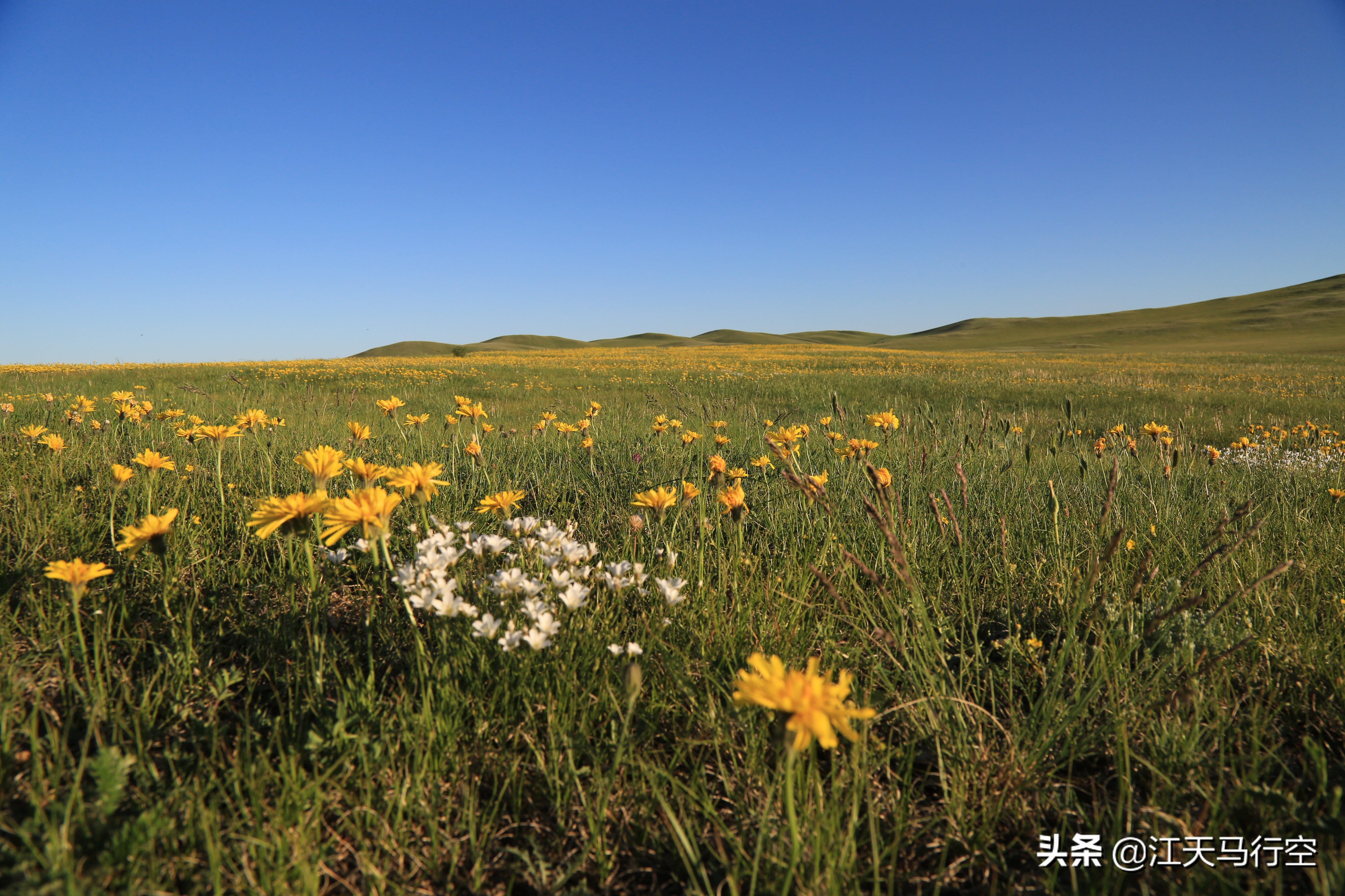 内蒙古草原与国家公园,内蒙古的草原自然公园