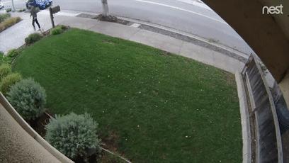 工程师制作闪光臭屁包裹，专治偷快递的*贼毛**