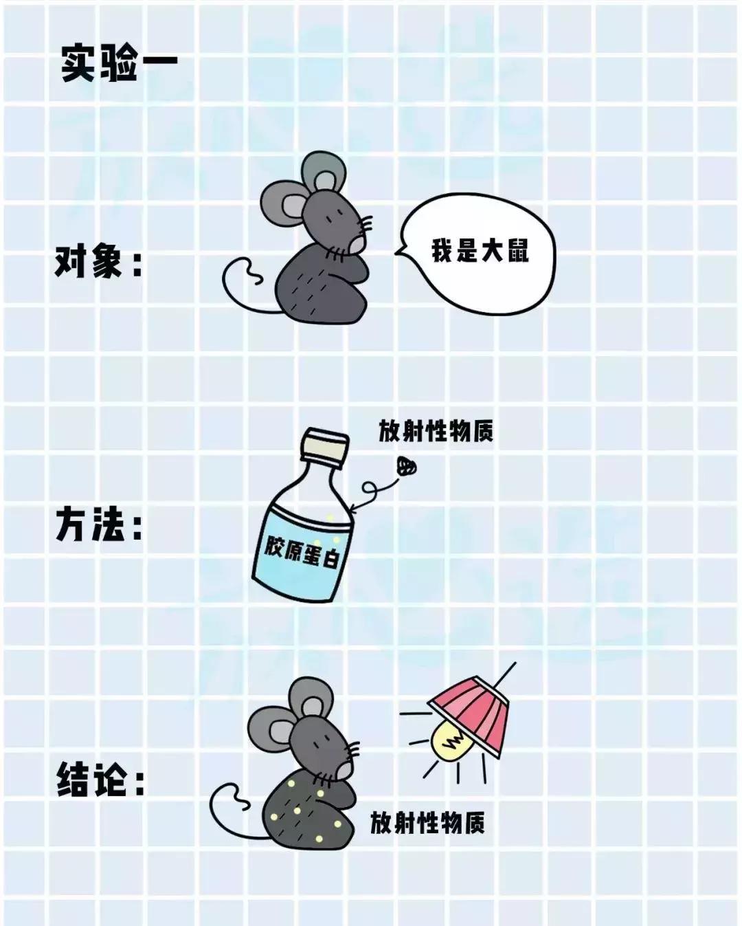 口服胶原蛋白肽真的有效,口服胶原蛋白真的有用