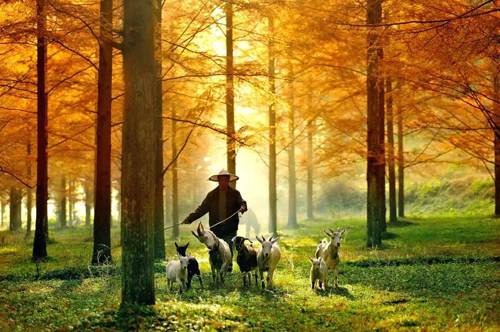 恩施，凭什么持续美哭全国，惊艳世界？