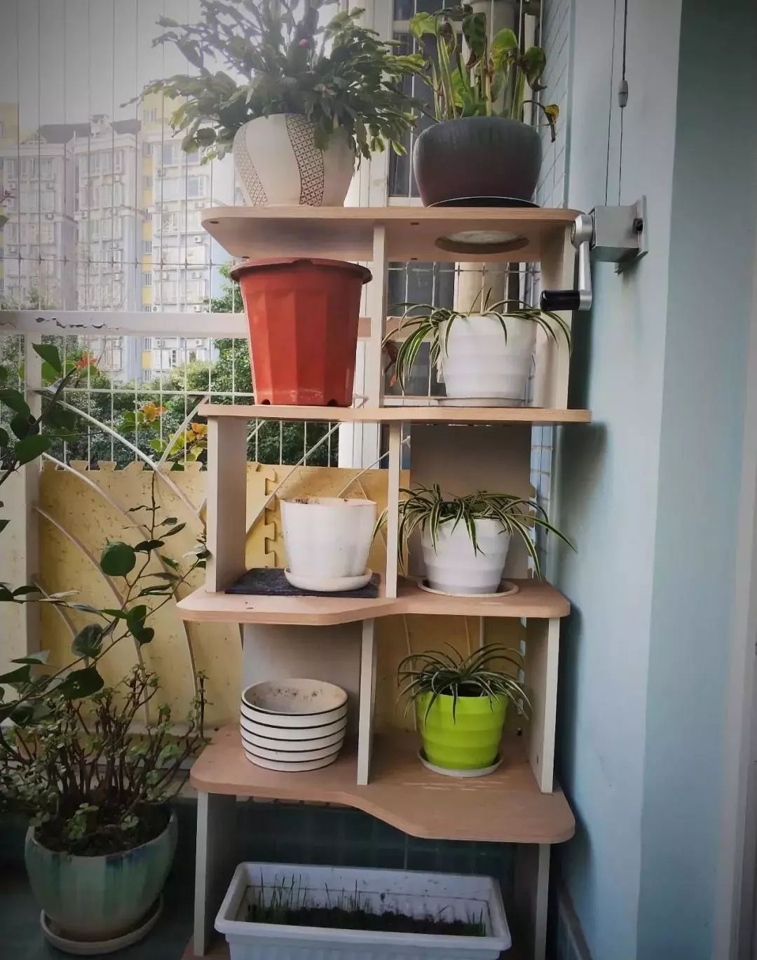 “乱买东西，猫骂了我三天！”