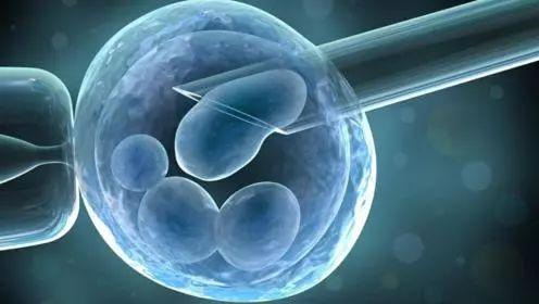 试管婴儿取完卵肚子胀多久恢复,取完卵后腹胀怎样能缓解