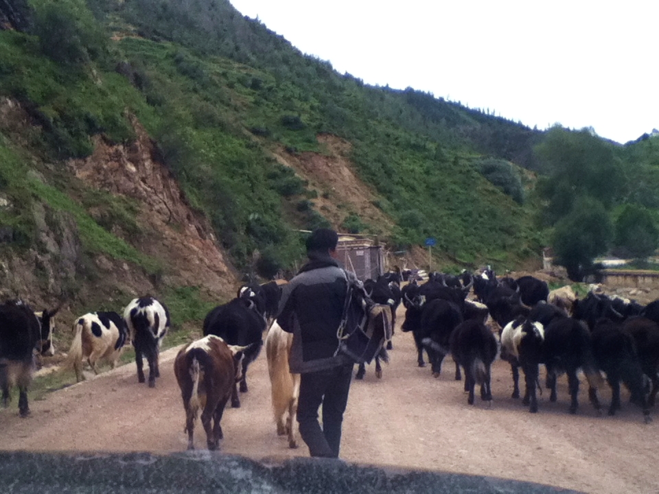 （一）我的藏地明码：九年前烂路相伴的G318；15天川进青出甘南回