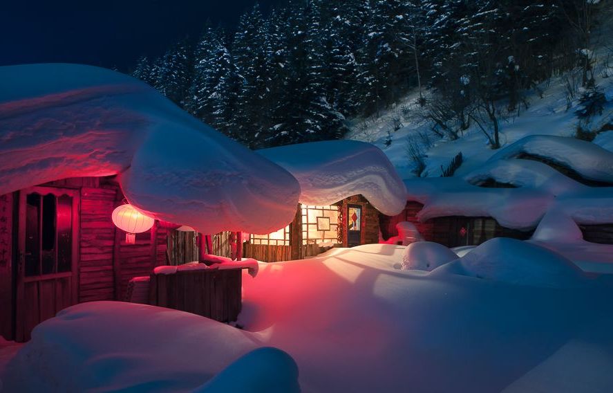 「原创诗词」金子正|秋风不是无情客一岭黄花照眼明