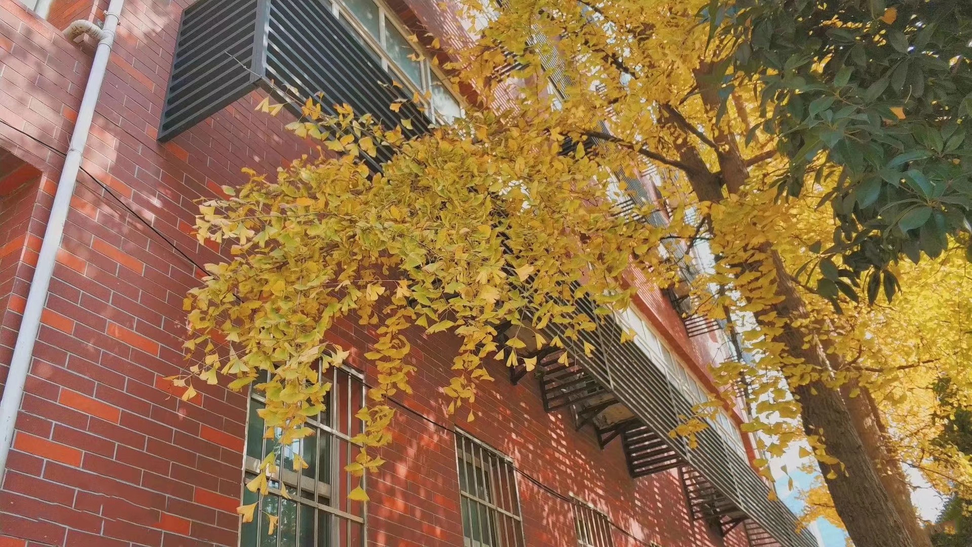 重庆哪所学校环境最好,重庆环境最差的学校