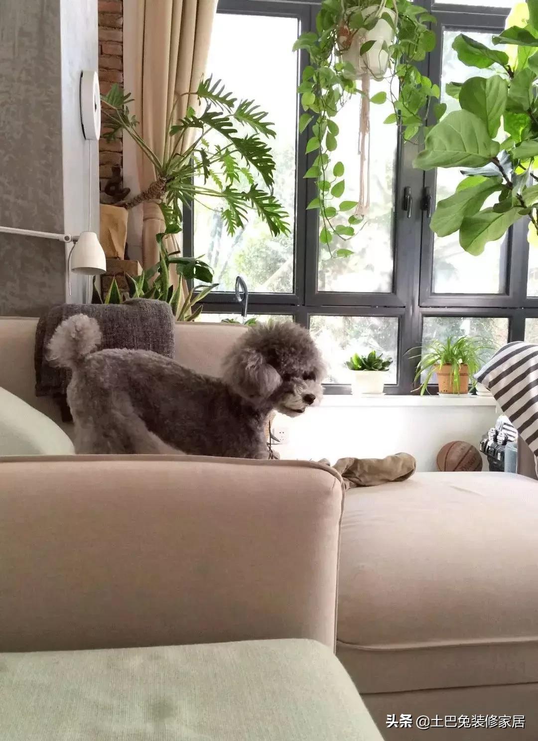 隔出一间卧室的最佳方案,隔出小卧室最佳方案