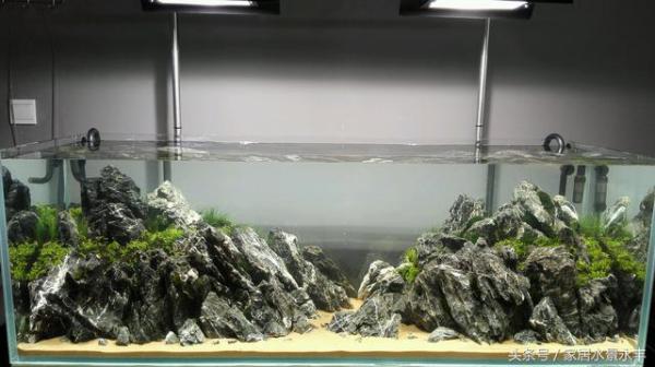 裸缸水质浑浊如何打造空气缸,鱼缸开缸水质怎么改善