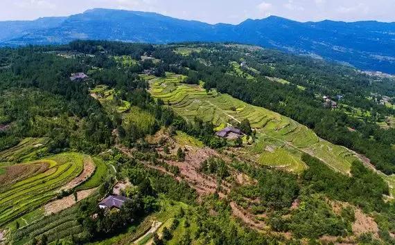 巴中有多大面积和人口,巴中和汉中差距有多大