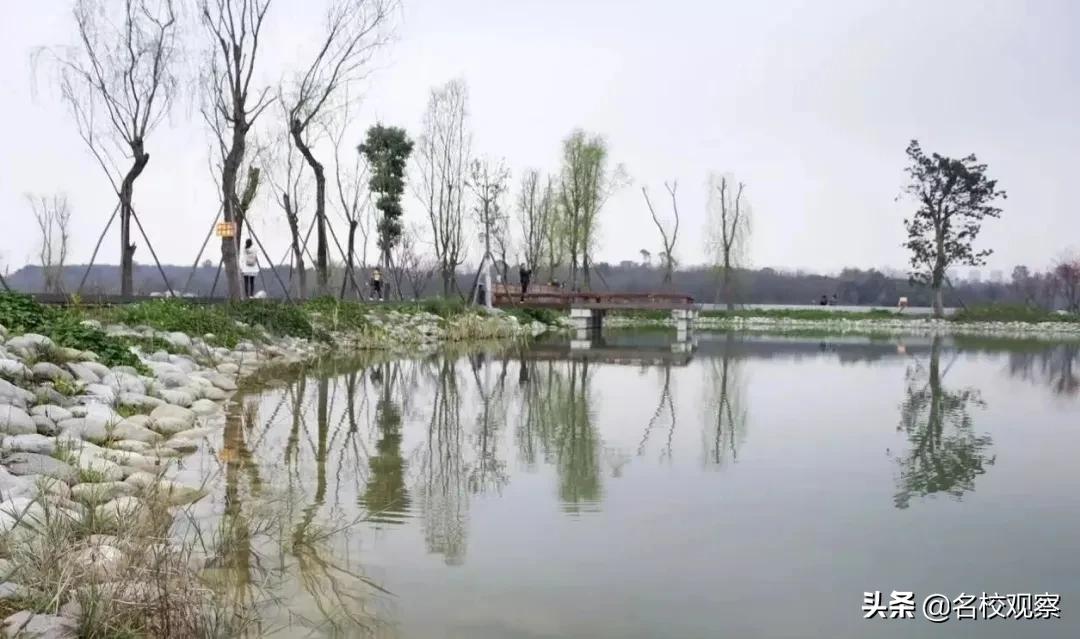 在成都有哪些地方适合大学生旅游,住在大学边上的体验