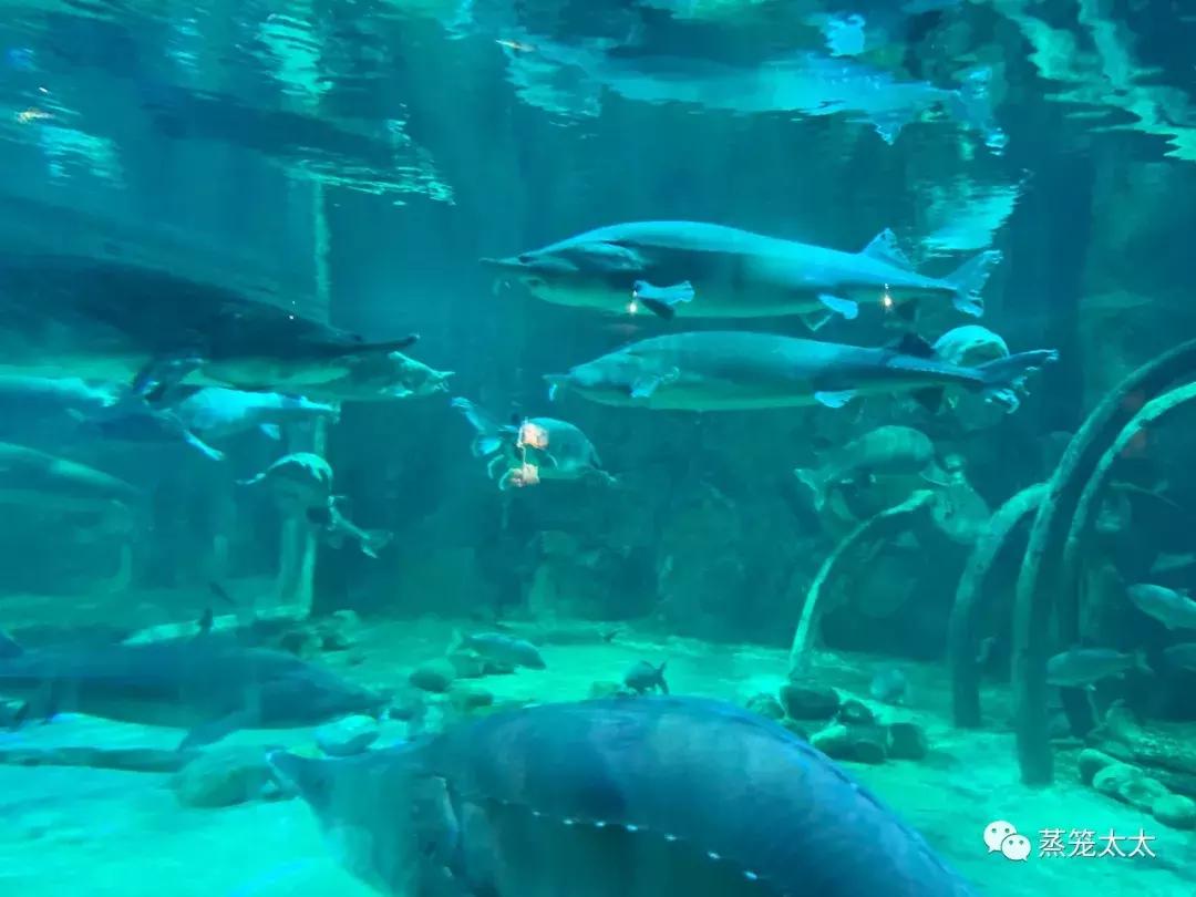 买来的橡皮泥有毒吗,外面买的橡皮泥做手工