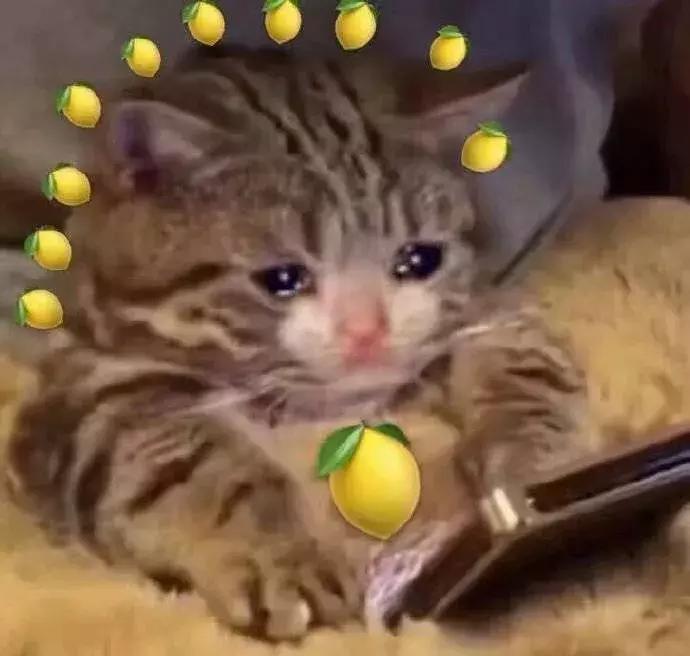 易烊千玺刘雯elle,易烊千玺刘雯互动