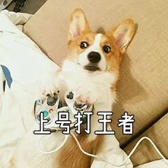 王者荣耀开外挂为什么不封号,王者荣耀外挂封号全集