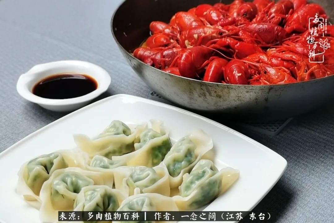 遇见花开蓝莓糖,遇见花开蔬菜沙拉酱