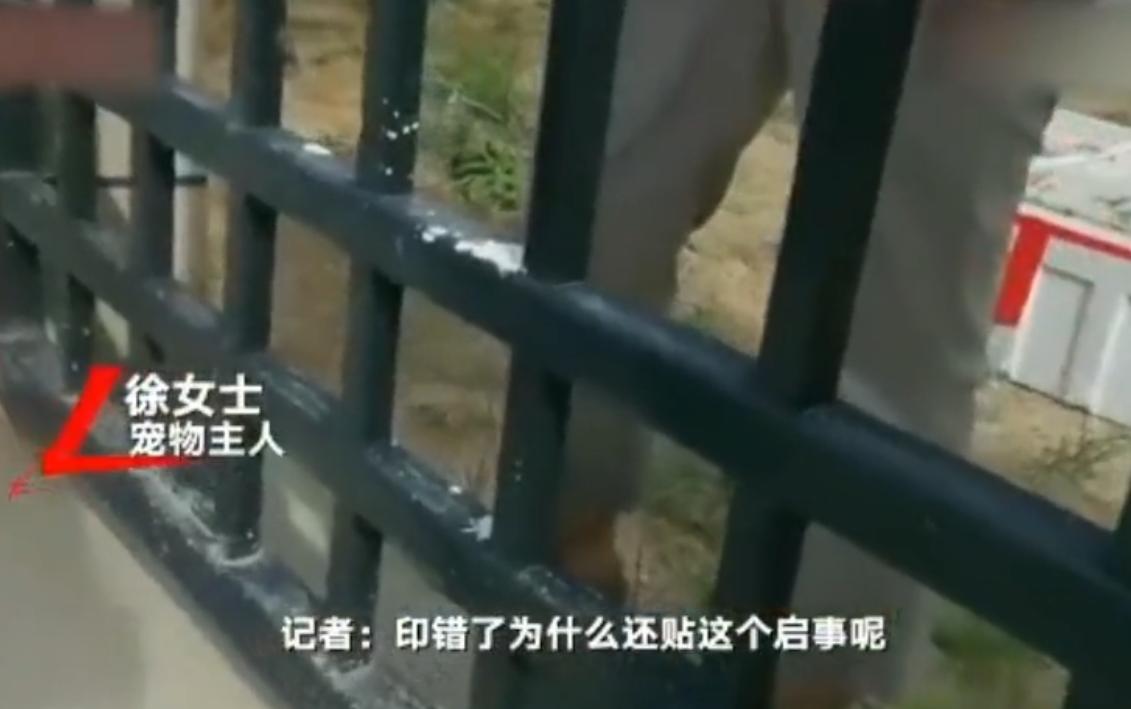 “寻狗赠房”系打印错误？北京寻狗赠房狗主人回应：因天黑没看就贴了，半夜接到三百个电话