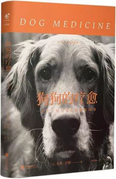 狗狗治愈抑郁症,狗狗能治愈人的抑郁症