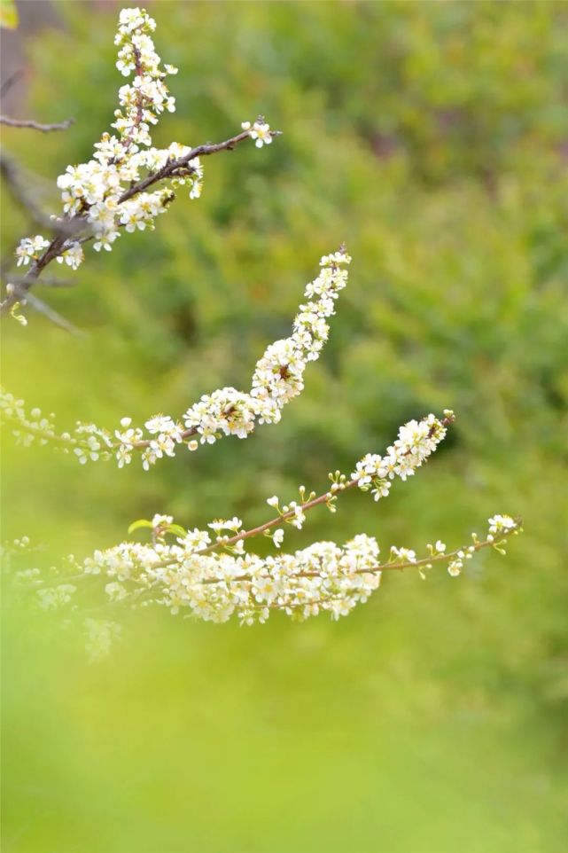 厦门五一适合带孩子去哪旅游,带孩子去哪里旅游最好玩厦门周边