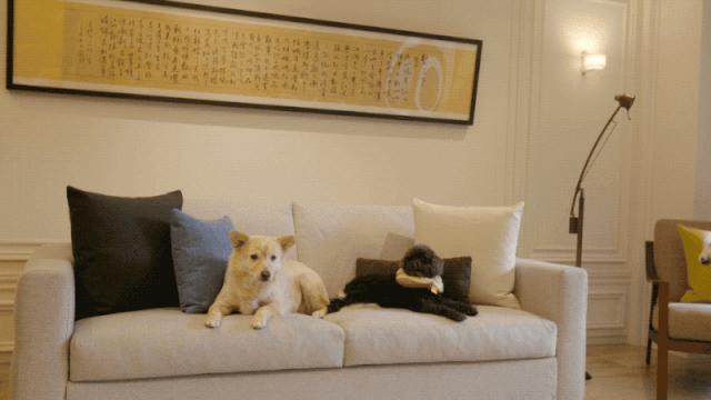 萧敬腾的单身豪宅曝光,萧敬腾8层豪宅曝光多少钱