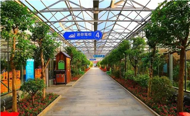 五一北京适合小孩玩的地方植物园,北京夏天带娃避暑最佳旅游地