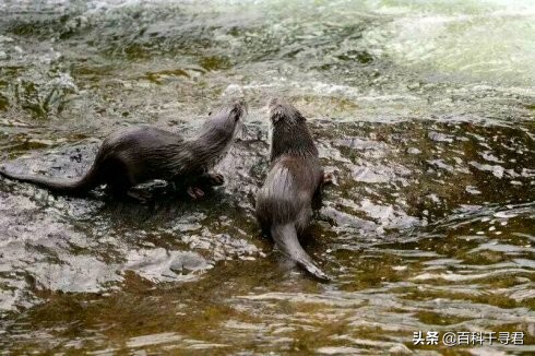 五月的最后一天是星期几,五月的第三个星期天是什么节日