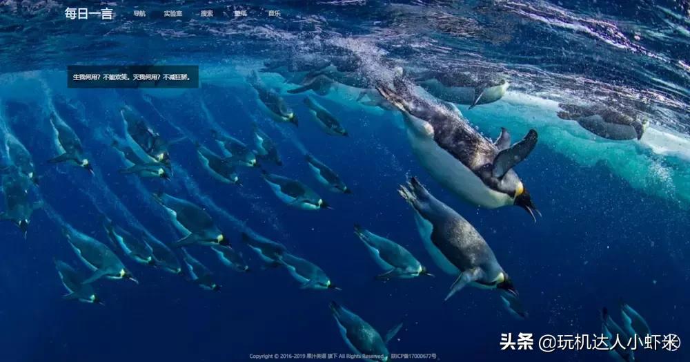 推荐一个网站，音乐，搜索，导航，使用小工具，应有尽有