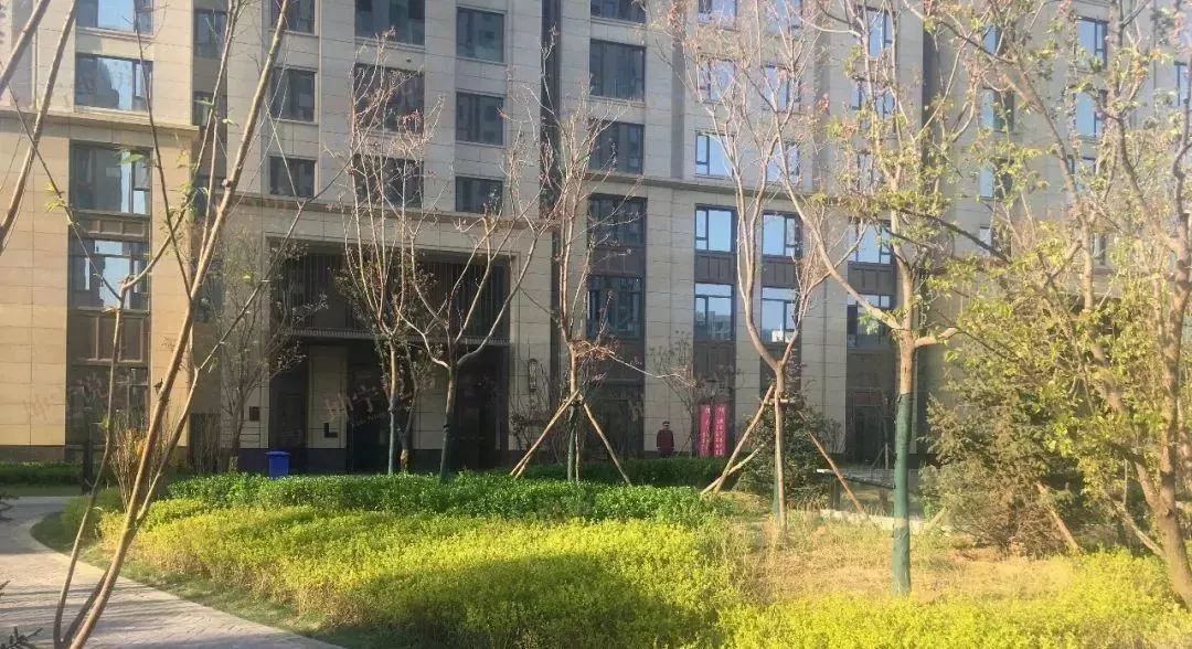 实探新楼市,坤宁说房值得买吗