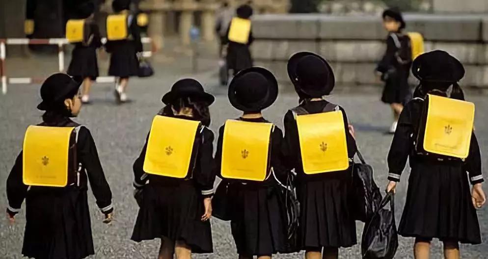 日本的冷知识视频,关于日本的奇葩冷知识