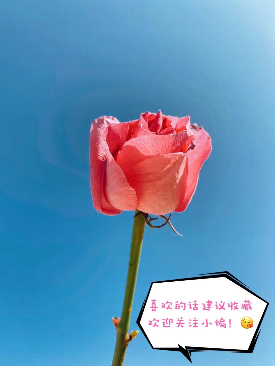 小学里常考的修改病句类型，你会了吗？（建议收藏附答案）