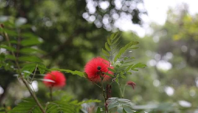 广州长隆四天三晚旅游推荐,4天去广州长隆和珠海看海怎么玩