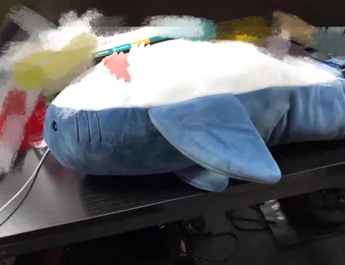 狗狗偷吃红烧肉还把主人坑惨了,狗狗偷吃了好多宠物零食