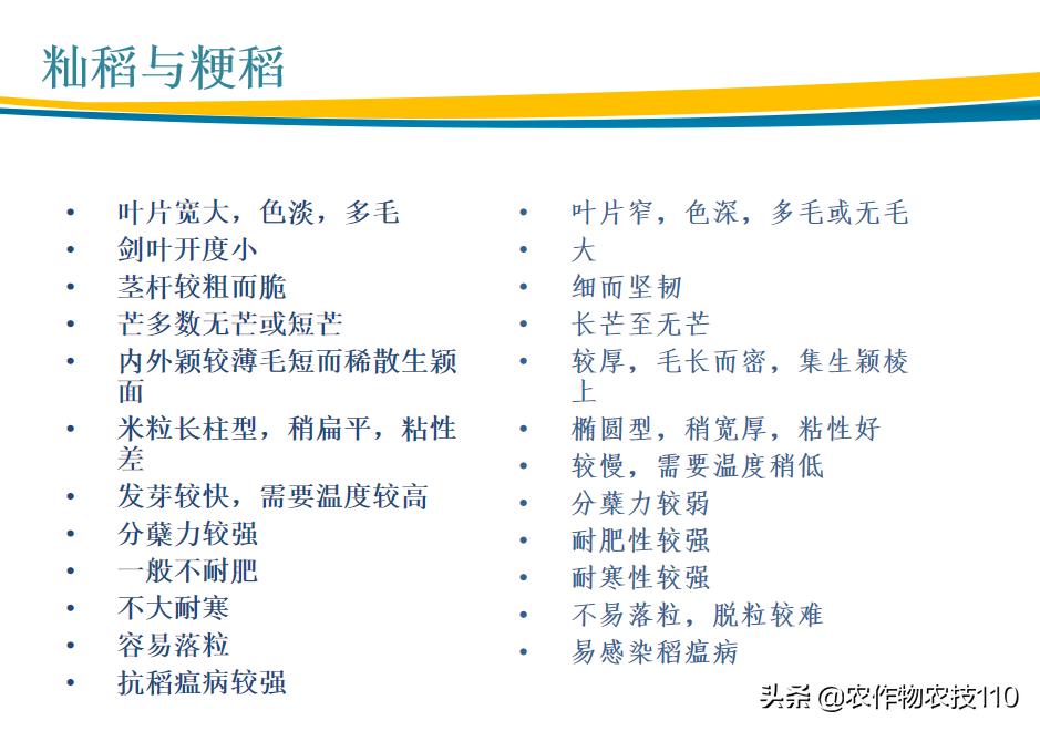 杂交稻直播的种植方法,杂交稻留种可以培育出常规种吗