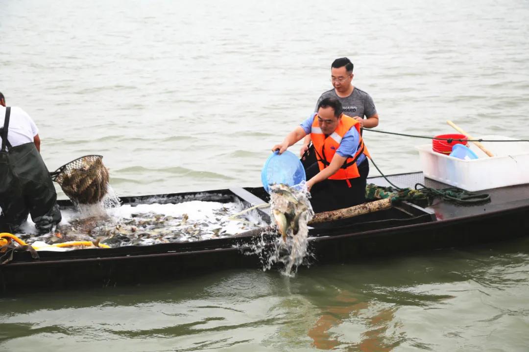 创伤修复的方法,创伤一期愈合的特点