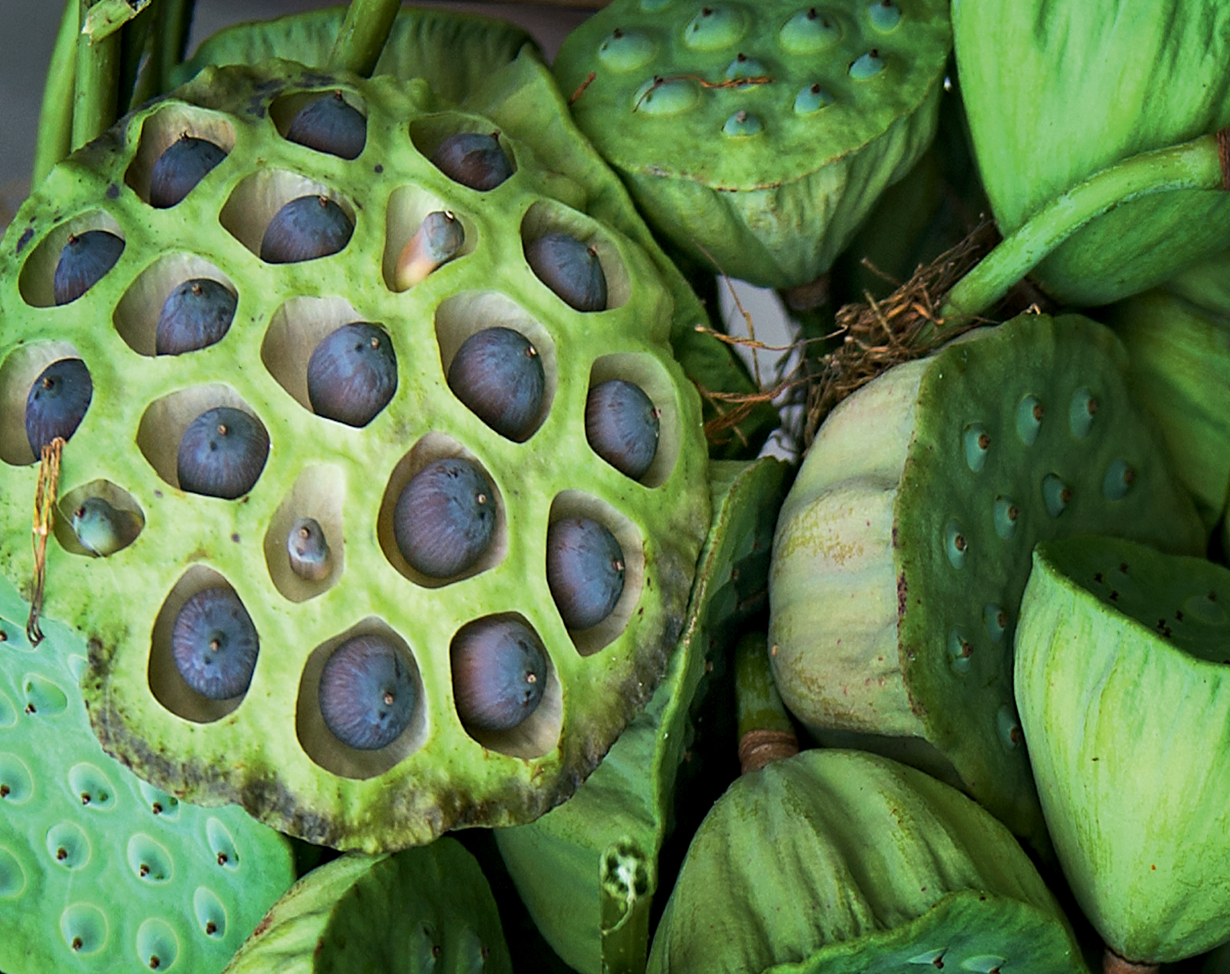 四川、贵州人先让让，真正爱辣的人在湘西