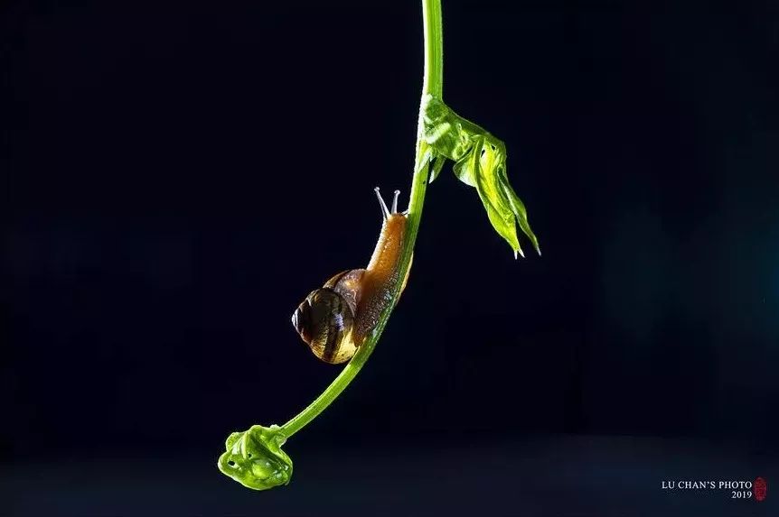 70-200f4能拍啥,70200套件安装视频