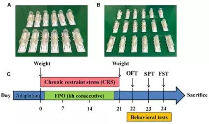 EPA和DHA是怎样抗炎的,dha真的对抑郁症有用吗