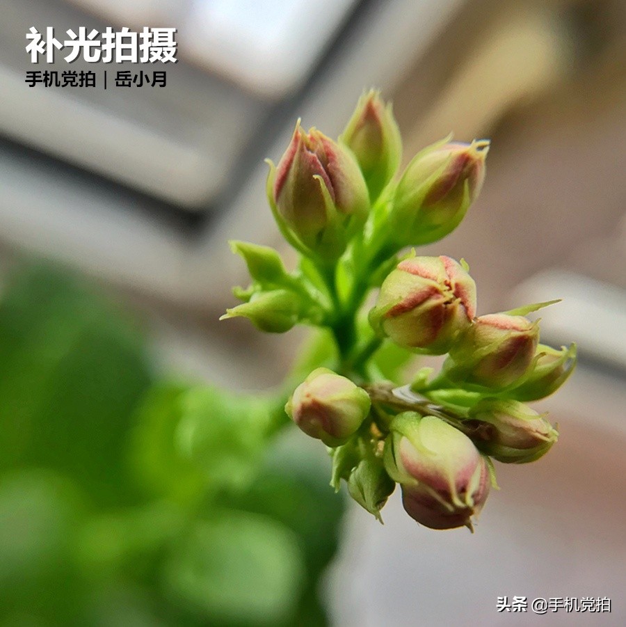 手机照片放大后模糊怎么变清晰,苹果手机拍照模糊怎样才能变清晰